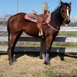 Meet your Posher, Shannon